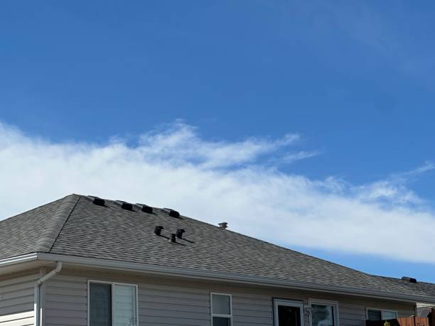Best Green or Eco-Friendly Roofing Solutions  in Middlebranch, OH